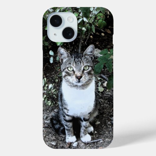 COQUES Case-Mate iPhone CHAT TURQUE NOIR ET BLANC RONIN (Verso)
