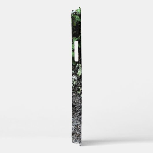 COQUES Case-Mate iPhone CHAT TURQUE NOIR ET BLANC RONIN (Verso / Droite)