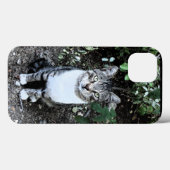 COQUES Case-Mate iPhone CHAT TURQUE NOIR ET BLANC RONIN (Verso (horizontal))
