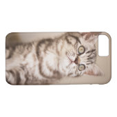 Coques Case-Mate iPhone Chaton britannique gris mignon de cheveux courts (Dos (Horizontal))