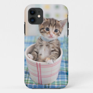 Coque iPhone 11 Chaton de Munchkin avec le joli ruban
