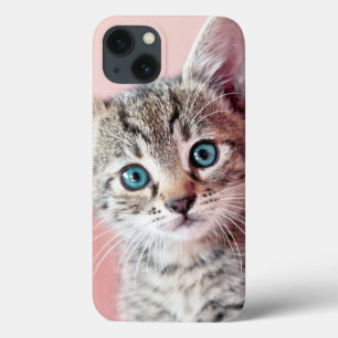 Etui iPhone 13 Chaton mignon avec les yeux bleus