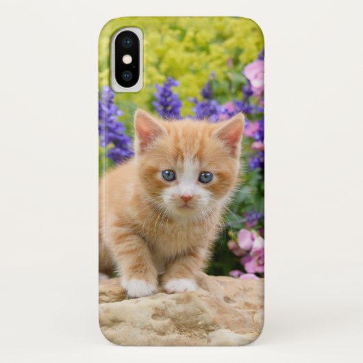 Coques Case-Mate iPhone Chaton pelucheux mignon de chat de gingembre en (Dos)