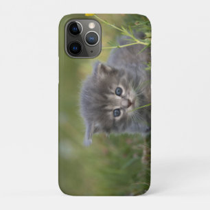 Case-Mate iPhone Case Chaton Personnalisé Mignon