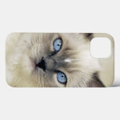 Coques Case-Mate iPhone chaton Ragdoll (Verso (horizontal))