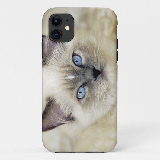Coques Case-Mate iPhone Chaton Ragdoll (Dos)