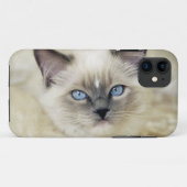 Coques Case-Mate iPhone Chaton Ragdoll (Dos (Horizontal))