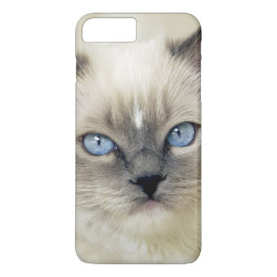 Coque Case-Mate Pour iPhone Chaton Ragdoll