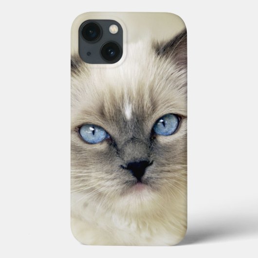 Coques Case-Mate iPhone chaton Ragdoll (Verso)