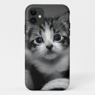 Coques Pour iPhone Chaton tigré doux