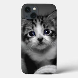 iPhone 13 Case Chaton tigré doux