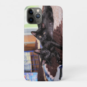 Case-Mate iPhone Case Chatons