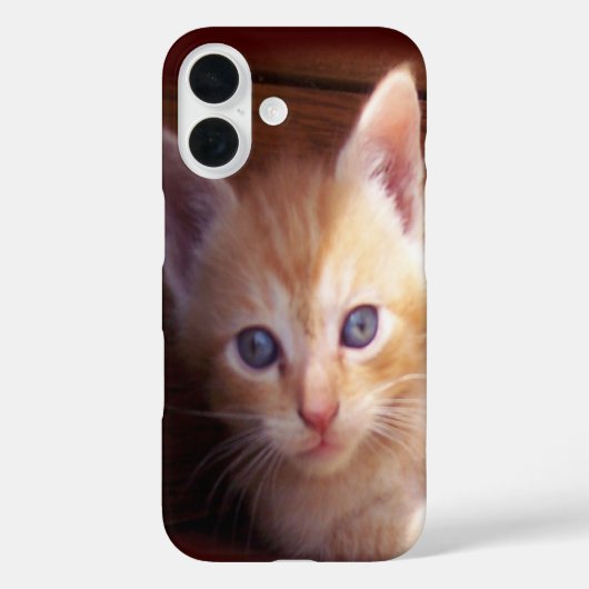 Coques Case-Mate iPhone Chatons (Verso)