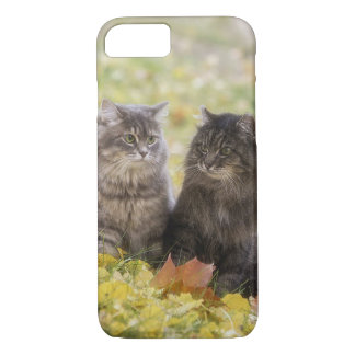 Coque iPhone 8/7 Chats
