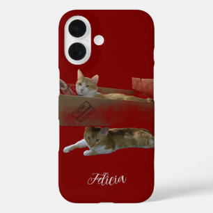 Coques iPhone 16 Chats Roux Drôles, Image Et Photo Personnalisables