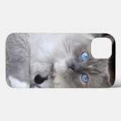 Coques Case-Mate iPhone Chatte Ragdoll (Verso (horizontal))