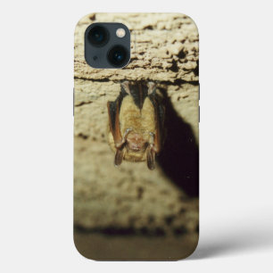 Case-Mate iPhone Case Chauve-souris