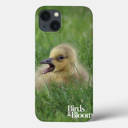 Coques Case-Mate iPhone Chauve-souris canadienne (Verso)