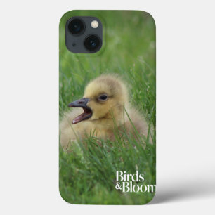 iPhone 13 Case Chauve-souris canadienne