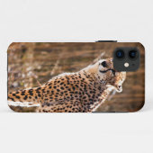 Coques Case-Mate iPhone Cheetah (Dos (Horizontal))