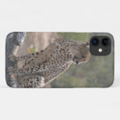 Coques Case-Mate iPhone Cheetah (Dos (Horizontal))