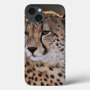 iPhone 13 Coque Cheetah looking away