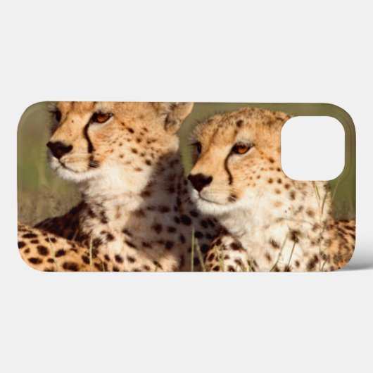 Coques Case-Mate iPhone Cheetah Lying (Verso (horizontal))