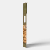 Coques Case-Mate iPhone Cheetah Lying (Verso / Droite)