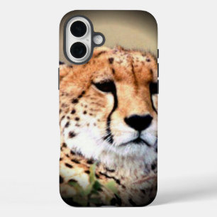 Coques iPhone 16 Plus Cheetah Portrait par Pleine lune : La grâce de la 