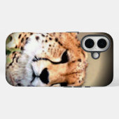 Coques Case-Mate iPhone Cheetah Portrait par Pleine lune : La grâce de la  (Verso (horizontal))