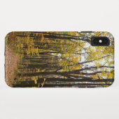 Coques Case-Mate iPhone Chemin d'automne et Feuilles d'or au parc Laurel H (Dos (Horizontal))