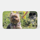 Coques Case-Mate iPhone Chérie simple (Dos (Horizontal))
