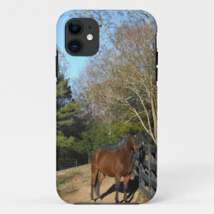 Coque Case-Mate Pour iPhone Cheval brun contre une clôture