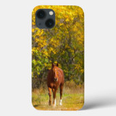 Coques Case-Mate iPhone Cheval d'automne (Verso)