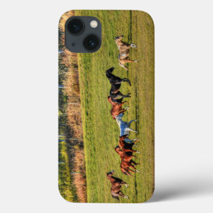 Case-Mate iPhone Case Cheval de course Herd & Ranch Pasture Equine Photo