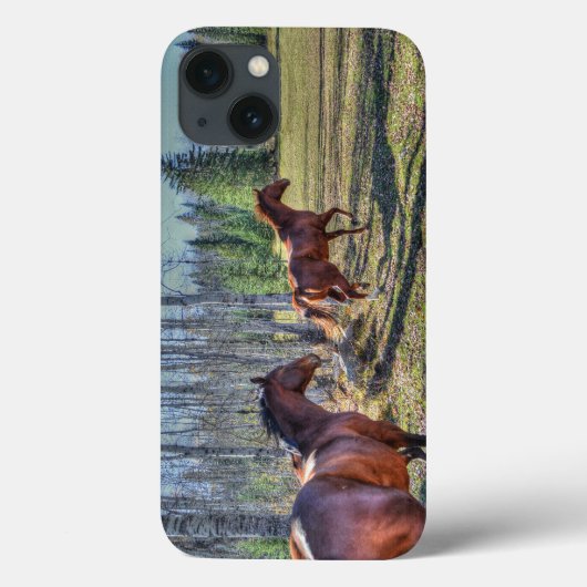 Coques Case-Mate iPhone Cheval de course Herd & Ranch Pasture Equine Photo (Verso)