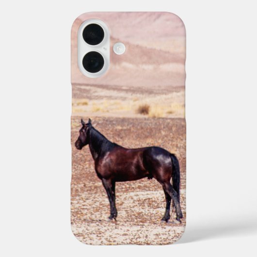 Coques Case-Mate iPhone Cheval du désert P8664 (Verso)