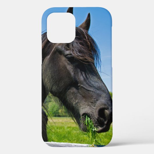Coques Case-Mate iPhone Cheval friésien noir (Verso)