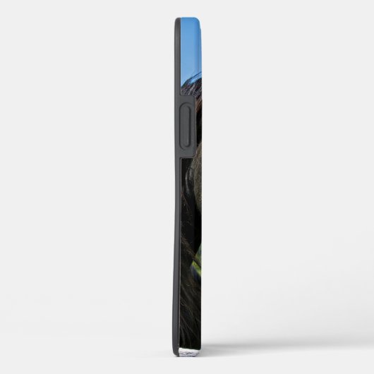 Coques Case-Mate iPhone Cheval friésien noir (Verso / Droite)