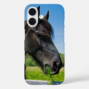 Coques iPhone 16 Cheval friésien noir