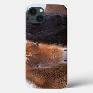 Etui iPhone Case-Mate Cheval islandais en hiver en Islande