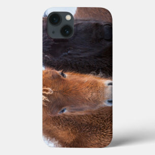 Coques Pour iPhone Cheval islandais en hiver en Islande