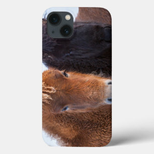 iPhone 13 Coque Cheval islandais en hiver en Islande