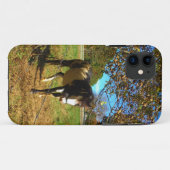 Coques Case-Mate iPhone Cheval Peint, (Dos (Horizontal))