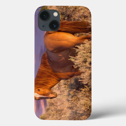 Coques Case-Mate iPhone Cheval sauvage du comté de Harney se tient alerte (Verso)