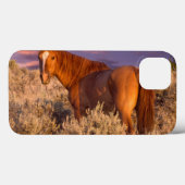Coques Case-Mate iPhone Cheval sauvage du comté de Harney se tient alerte (Verso (horizontal))