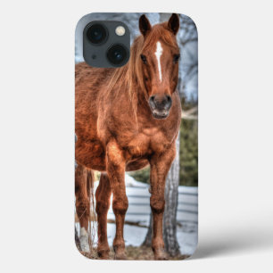 Etui iPhone 13 Chevaux - American Western Theme