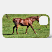 Coques Case-Mate iPhone Chevaux - American Western Theme (Verso (horizontal))