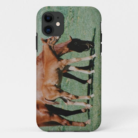 COQUES Case-Mate iPhone CHEVAUX AMICAUX (Dos)
