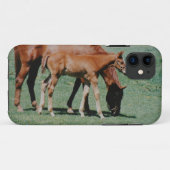 COQUES Case-Mate iPhone CHEVAUX AMICAUX (Dos (Horizontal))